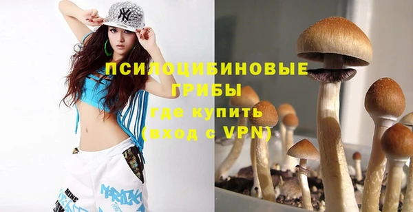 МДПВ Бородино