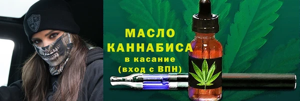 МДПВ Бородино