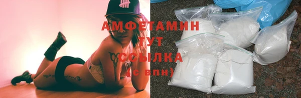 МДПВ Бородино