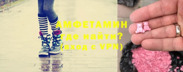 МДПВ Бородино