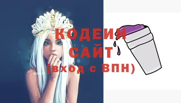 МДПВ Бородино
