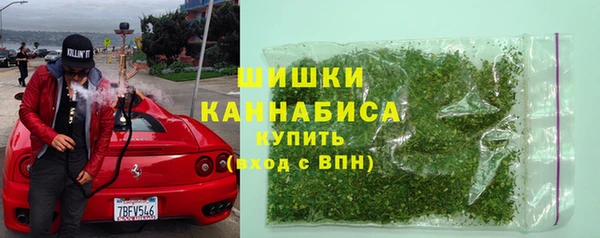 мдпв Богданович