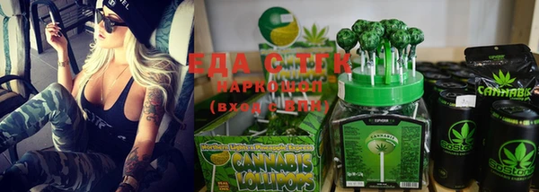 МДПВ Бородино