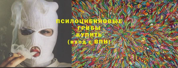 ПСИЛОЦИБИНОВЫЕ ГРИБЫ Богородск