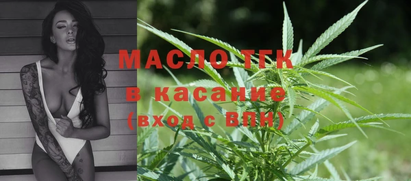 МДПВ Бородино