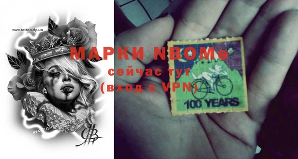 МДПВ Бородино